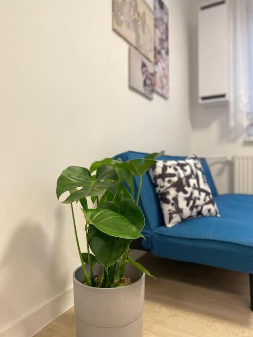 Apartman Kristina Štúrovo Exteriér fotografie